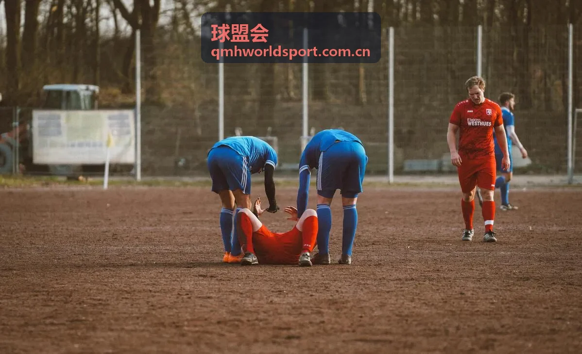 球盟会数据报告导出