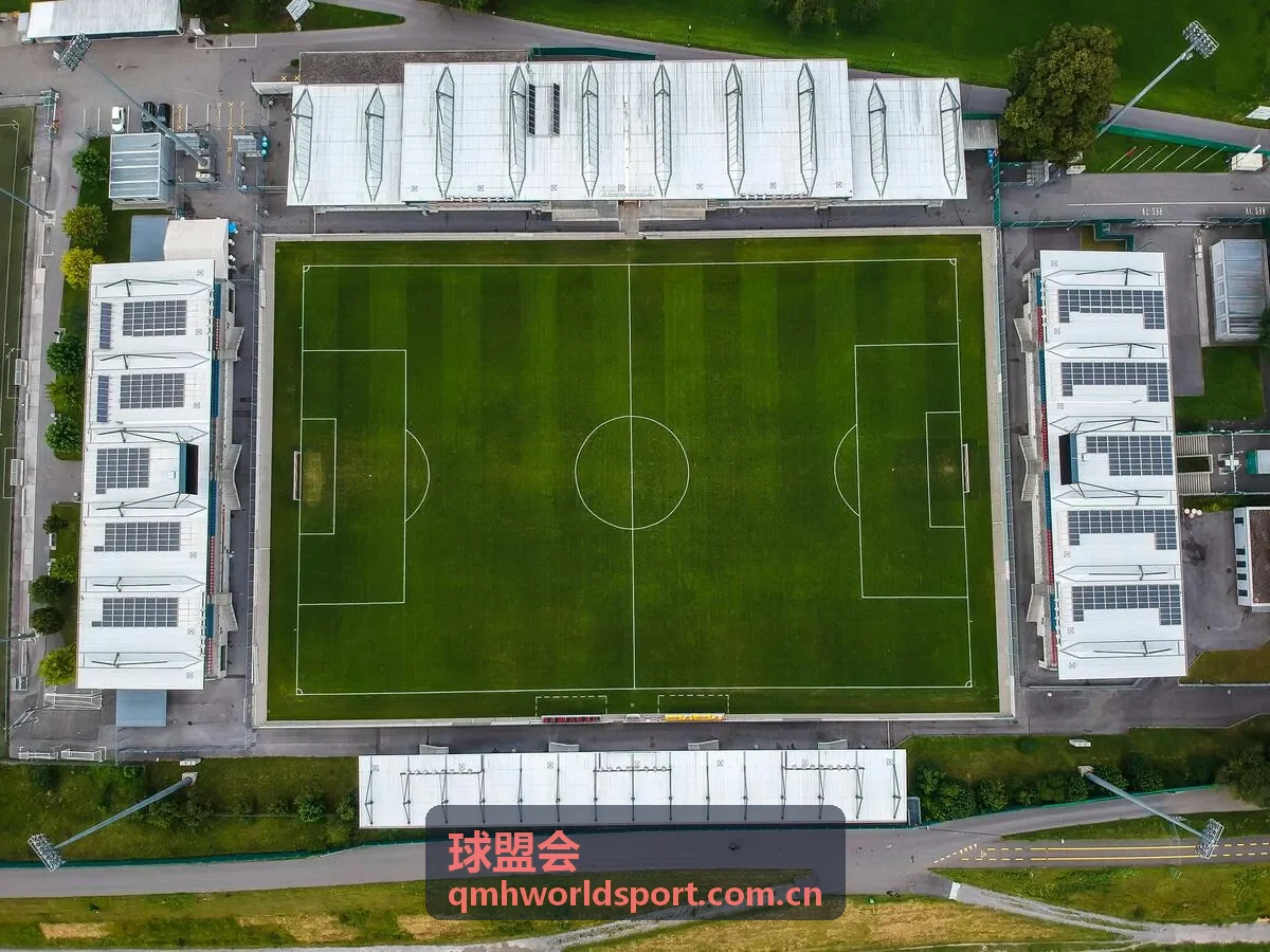 球盟会数据统计分析
